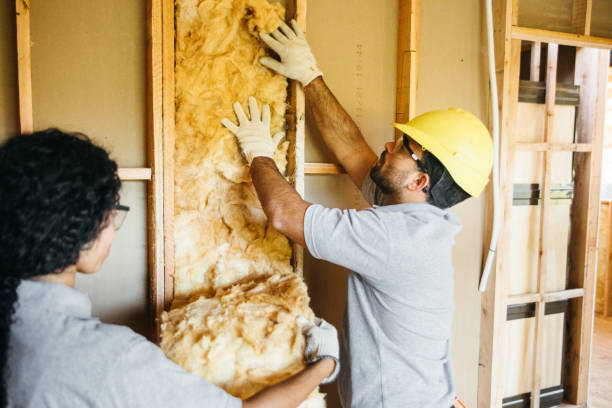 Best Blown-In Insulation  in Stanton, CA